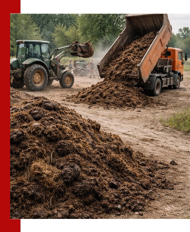 Доставка навоза самосвалами в калуге для сельхозпотребностей