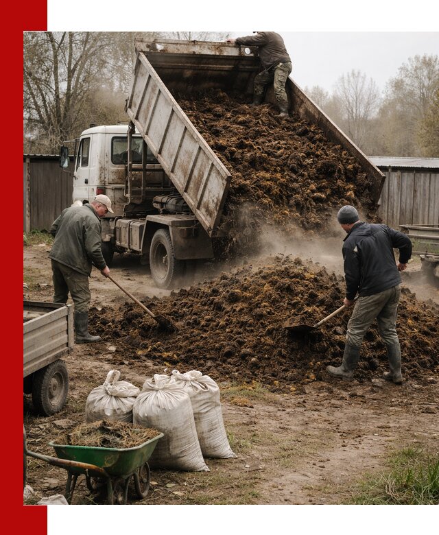 Доставка коровьего навоза самосвалом в калуге